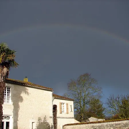 La Collegiale Konukevi Clavette