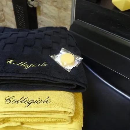 Konukevi La Collegiale