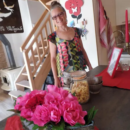 La Collegiale Konukevi