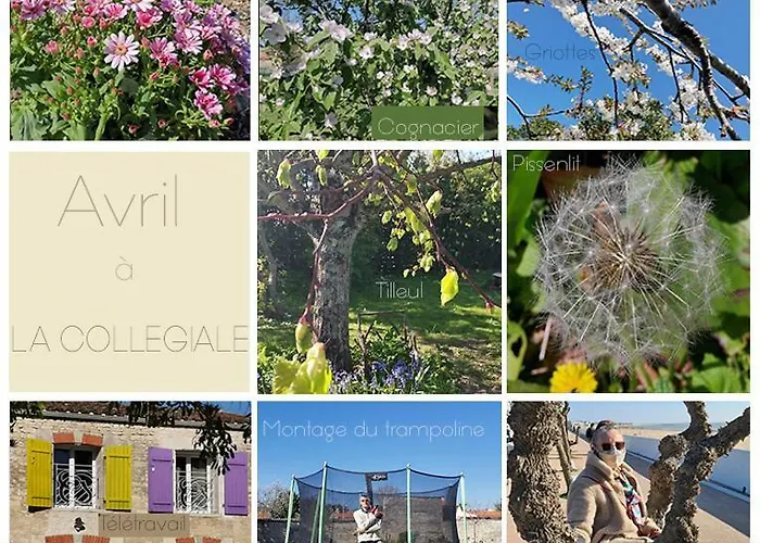 La Collegiale Clavette