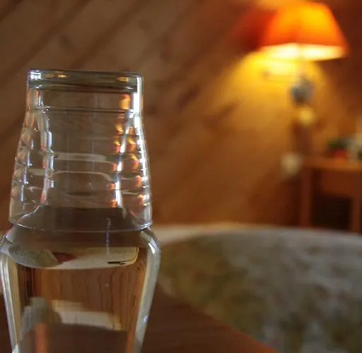 Guest house La Collegiale 3*