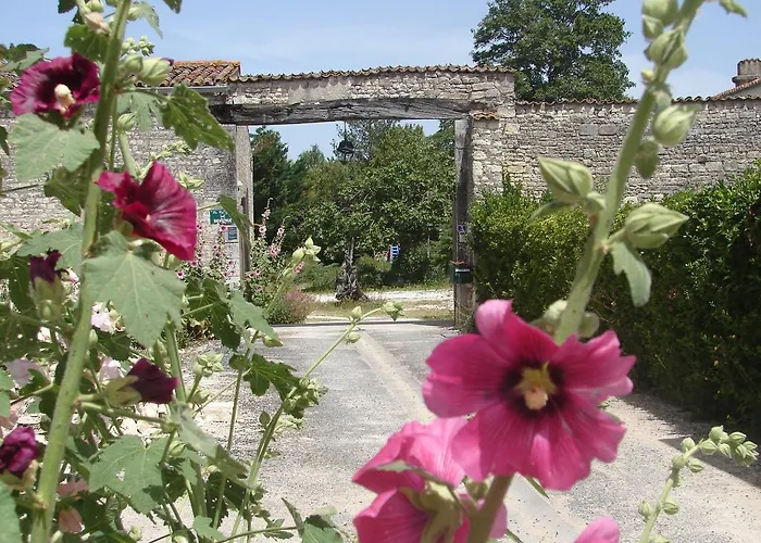 La Collegiale Guest house 3*