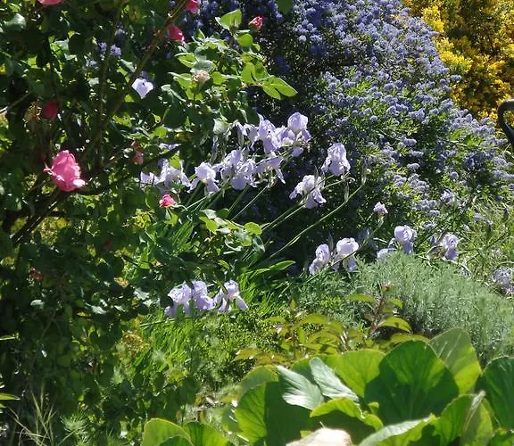 Guest house La Collegiale 3*