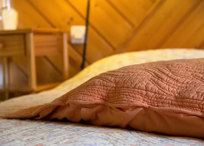 La Collegiale Clavette